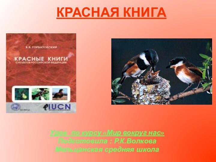 Урок  по курсу «Мир вокруг нас»Подготовила : Р.К.ВолковаМельцанская средняя школаКРАСНАЯ КНИГА