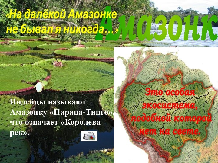 АмазонкаИндейцы называют Амазонку «Парана-Тинго», что означает «Королева рек». «На далёкой Амазонке не