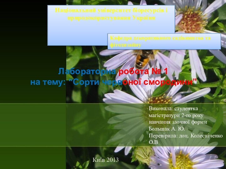 Лабораторна робота № 1 на тему: “Сорти червоної смородини”Виконала: студентка магістратури 2-го