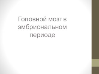 Закладка нервной Пластинки(утолщенный участок эктодермы) на 16 день. Механизм запускается под  влиянием хордомезодермы и  эктодермы.