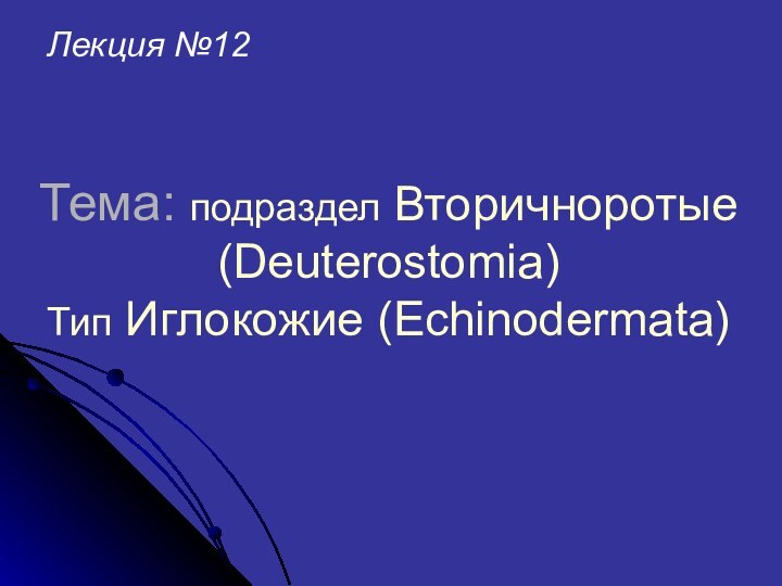 Тема: подраздел Вторичноротые (Deuterostomia)  Тип Иглокожие (Echinodermata)Лекция №12
