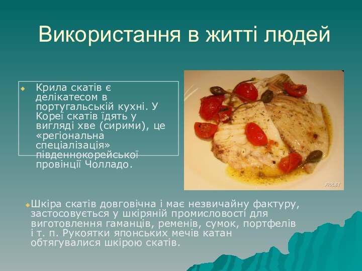 Використання в житті людейКрила скатів є делікатесом в португальській кухні. У Кореї