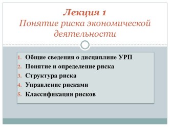 Лекция 1Понятие риска экономической деятельности