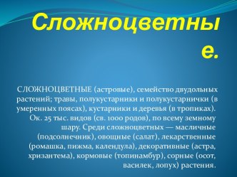 Сложноцветные