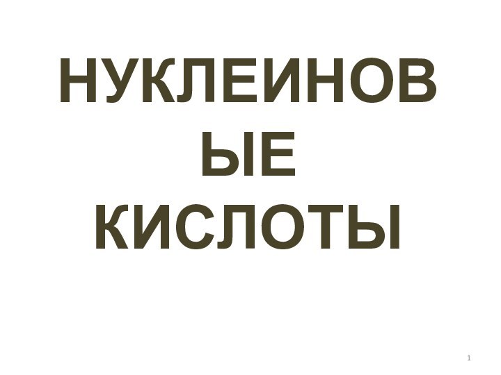 НУКЛЕИНОВЫЕ КИСЛОТЫ