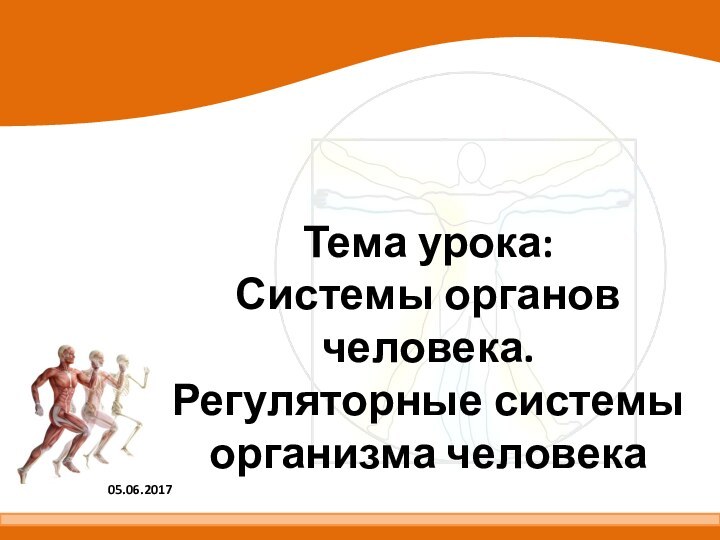 Тема урока:  Системы органов человека. Регуляторные системы организма человека