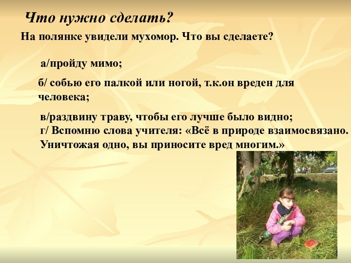 Что нужно сделать?На полянке увидели мухомор. Что вы сделаете?а/пройду мимо;б/ собью его