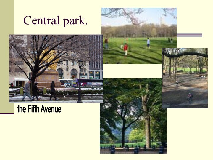 Central park.the Fifth Avenue