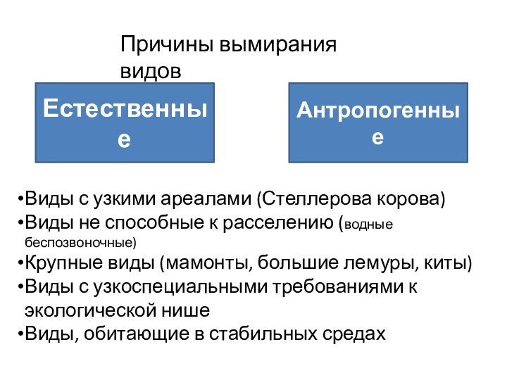 Причины вымирания видовЕстественныеАнтропогенныеВиды с узкими ареалами (Стеллерова корова)Виды не способные к расселению