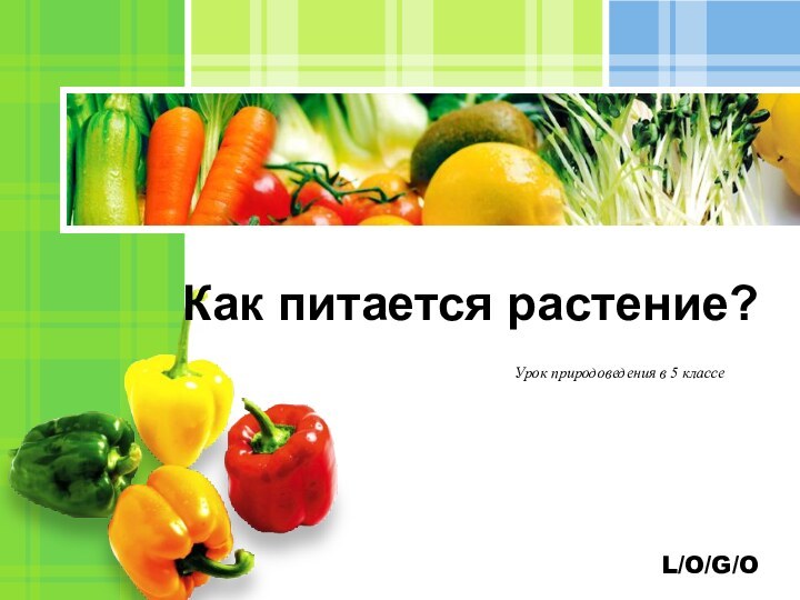 Урок природоведения в 5 классеКак питается растение?