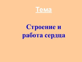 Работа и строение сердца