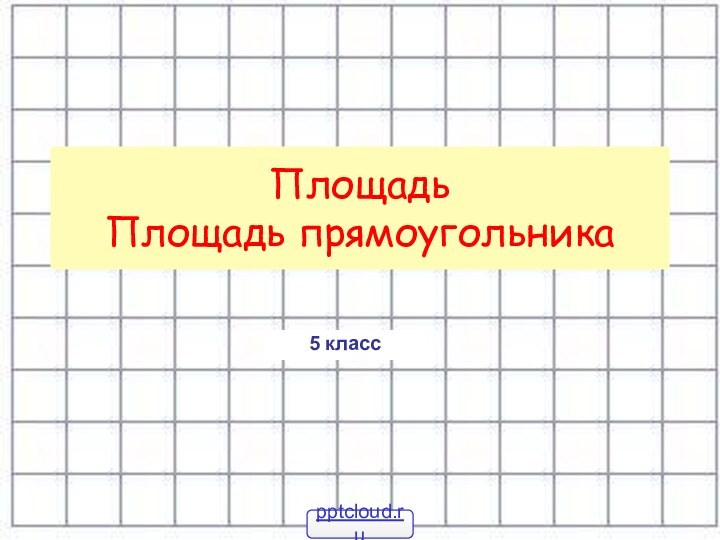 Площадь Площадь прямоугольника5 класс