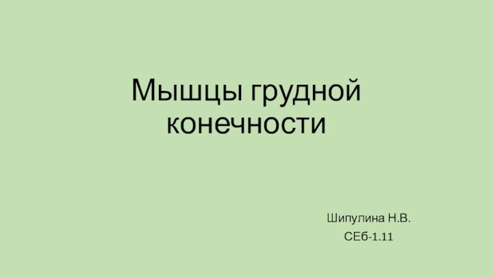 Мышцы грудной конечностиШипулина Н.В. СЕб-1.11