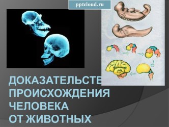 Доказательства происхождения человека от животных