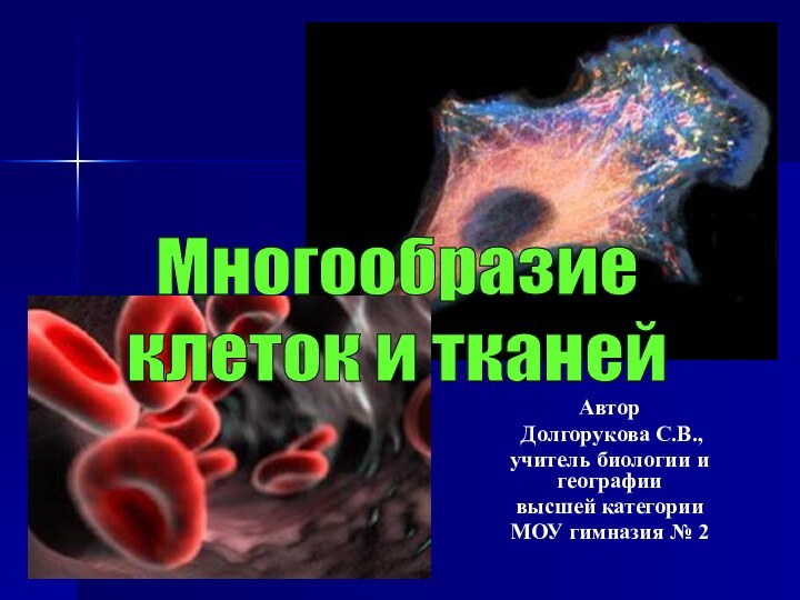 Автор Долгорукова С.В.,учитель биологии и географиивысшей категорииМОУ гимназия № 2Многообразиеклеток и тканей