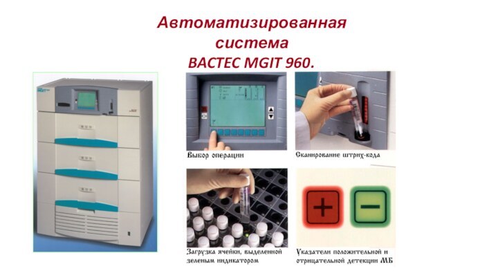 Автоматизированная система BACTEC MGIT 960.