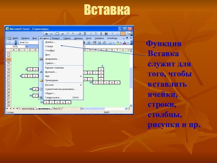 Вставка  Функция Вставка служит для того, чтобы вставлять ячейки, строки, столбцы, рисунки и пр.