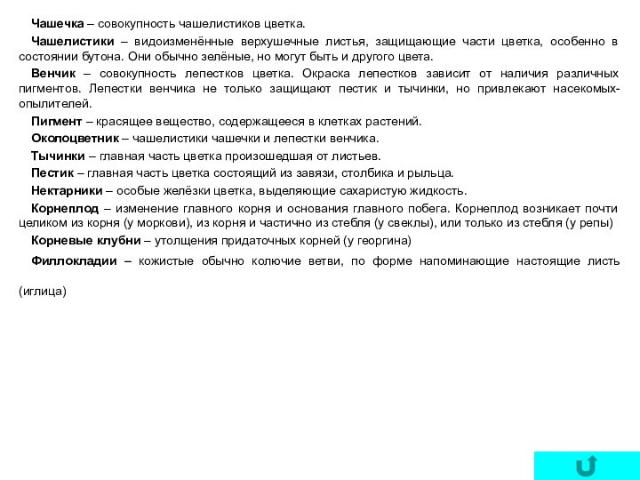 Чашечка – совокупность чашелистиков цветка.Чашелистики – видоизменённые верхушечные листья, защищающие части цветка,