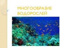 Многообразие водорослей