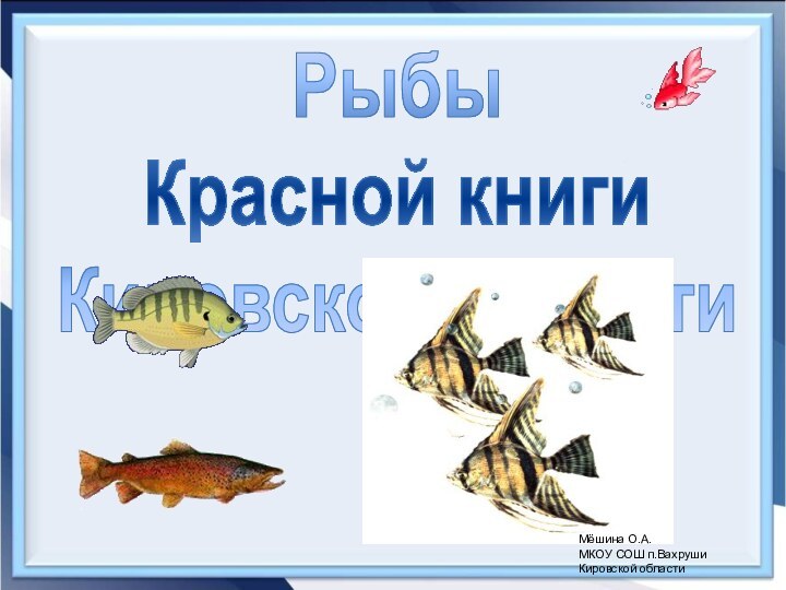 Рыбы Красной книгиКировской областиМёшина О.А.МКОУ СОШ п.ВахрушиКировской области