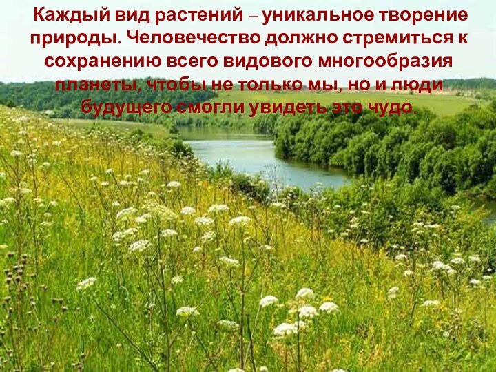 Каждый вид растений – уникальное творение природы. Человечество должно стремиться к