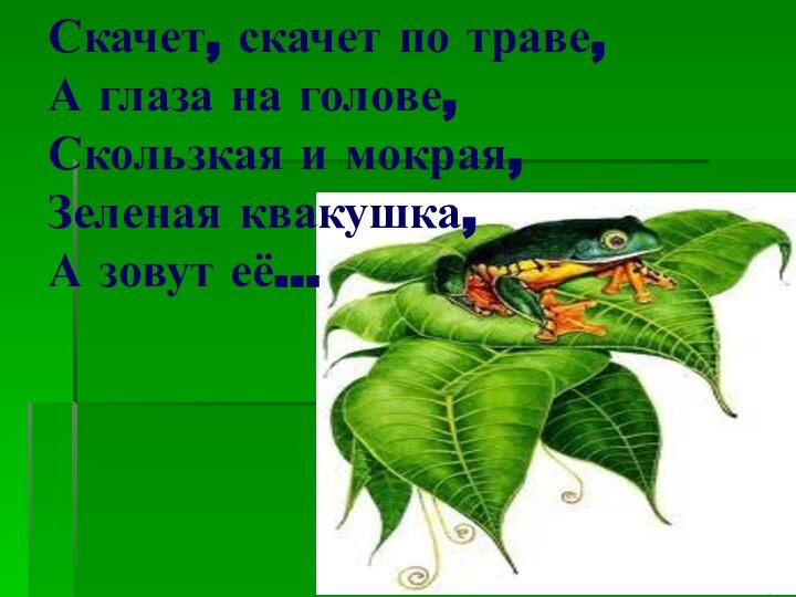 Скачет, скачет по траве, А глаза на голове, Скользкая и мокрая, Зеленая