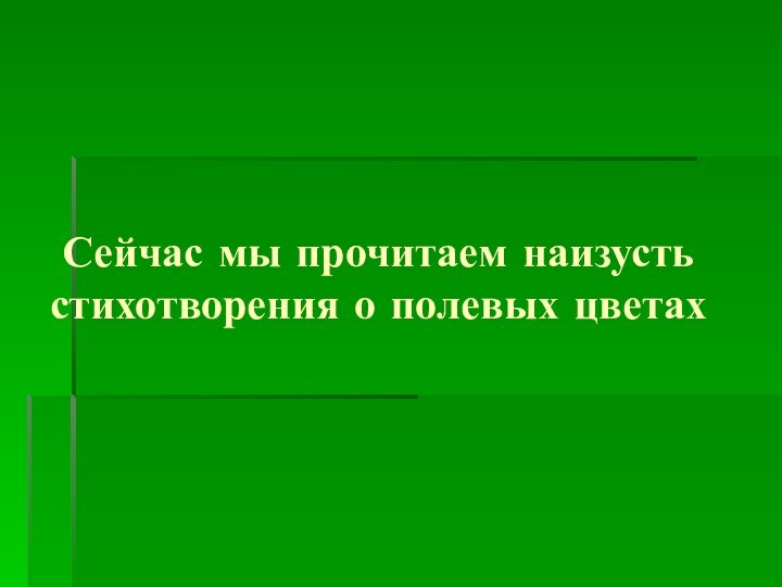 Сейчас мы прочитаем наизусть стихотворения о полевых цветах