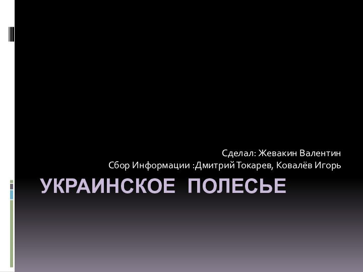 Украинское ПолесьеСделал: Жевакин Валентин   Сбор Информации :Дмитрий Токарев, Ковалёв Игорь