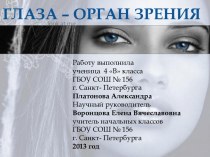 Глаза – орган зрения