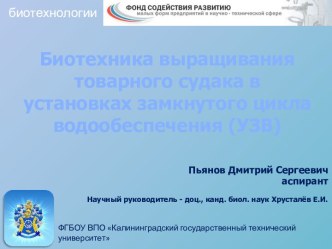 Биотехника выращивания товарного судака в установках замкнутого цикла водообеспечения (УЗВ)