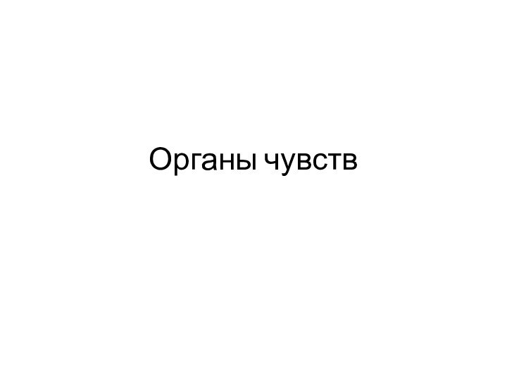 Органы чувств