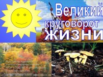 Великий круговорот жизни