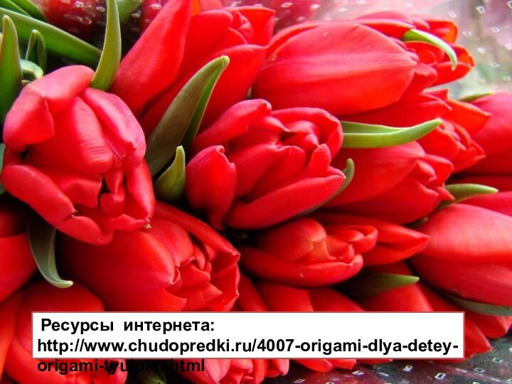 Ресурсы интернета: http://www.chudopredki.ru/4007-origami-dlya-detey-origami-tyulpan.html