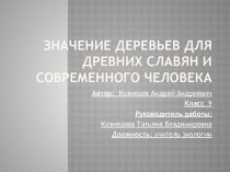 Значение деревьев для древних славян и современного человека