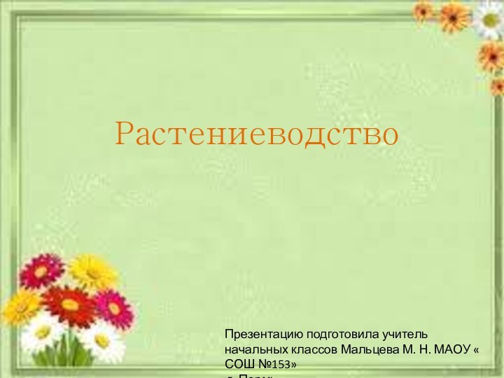 РастениеводствоПрезентацию подготовила учитель начальных классов Мальцева М. Н. МАОУ « СОШ №153» г. Пермь.