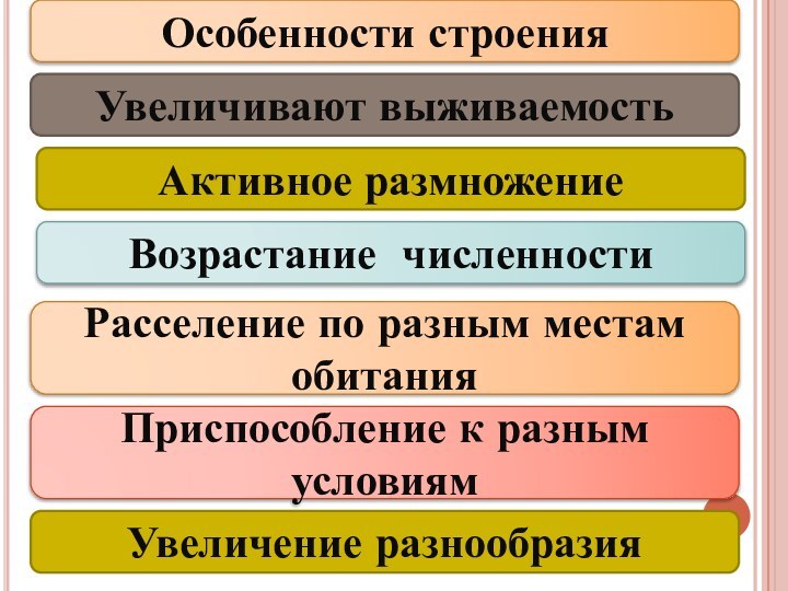 Особенности строенияУвеличивают выживаемостьАктивное размножениеВозрастание численностиРасселение по разным местам обитанияПриспособление к разным условиямУвеличение разнообразия