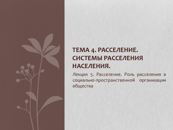 Лекция 5. Расселение. Роль расселения в социально-пространственной организации обществаТема 4. Расселение. Системы расселения населения.