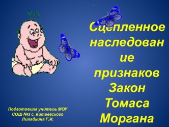 Сцепленное наследование признаков Закон Томаса Моргана