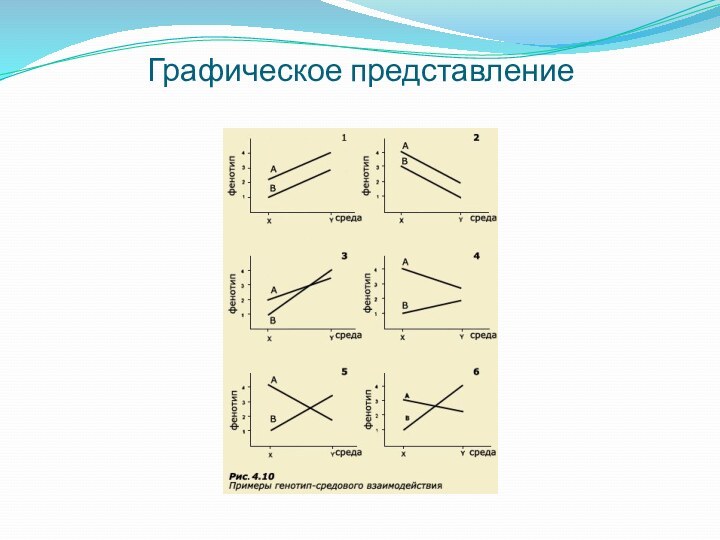 Графическое представление