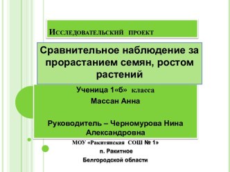 Сравнительное наблюдение за прорастанием семян, ростом растений