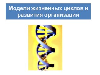 Модели жизненных циклов и развития организации