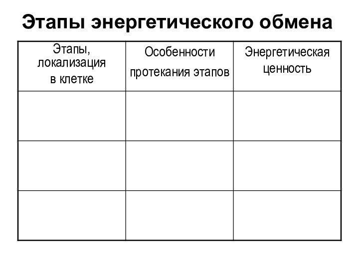 Этапы энергетического обмена