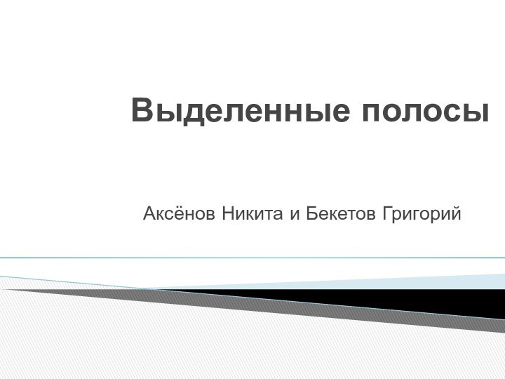 Выделенные полосыАксёнов Никита и Бекетов Григорий