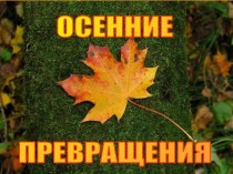 Осенние превращения