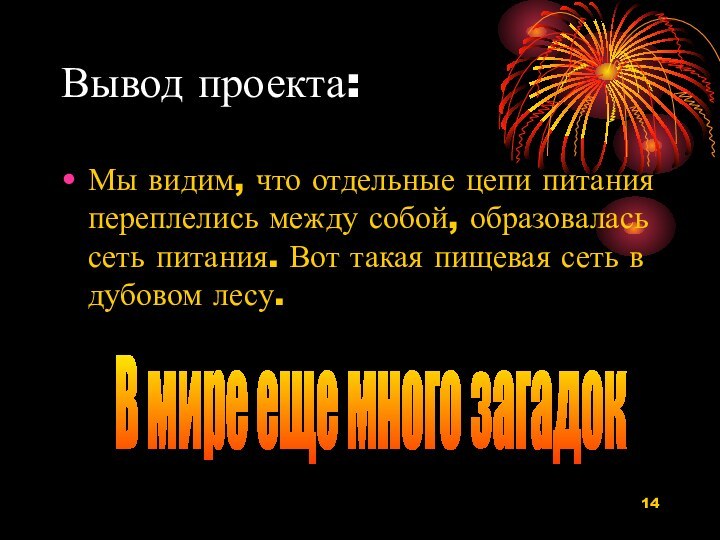 Вывод проекта:Мы видим, что отдельные цепи питания переплелись между собой, образовалась сеть