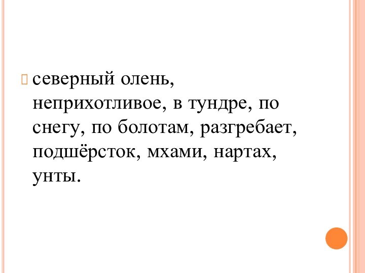 северный олень, неприхотливое, в тундре, по снегу, по болотам, разгребает, подшёрсток, мхами, нартах, унты.