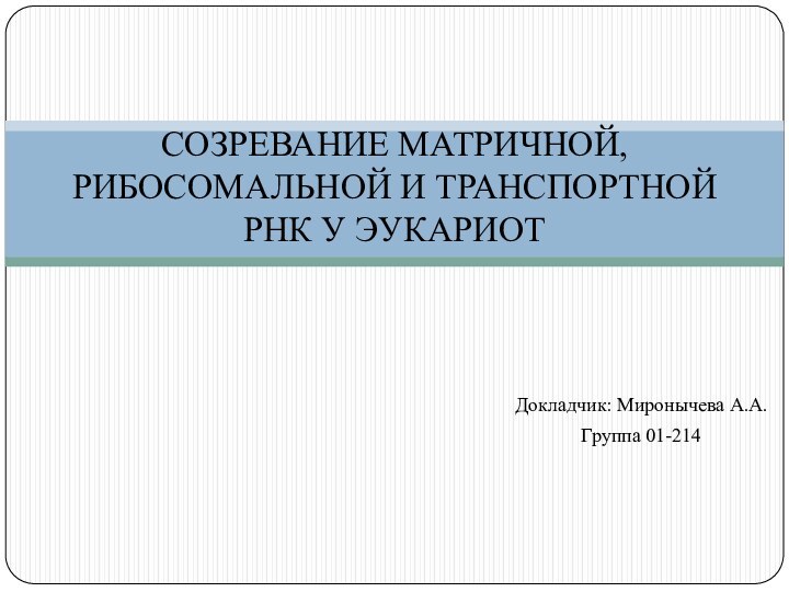 Докладчик: Миронычева А.А.Группа 01-214СОЗРЕВАНИЕ МАТРИЧНОЙ, РИБОСОМАЛЬНОЙ И ТРАНСПОРТНОЙ РНК У ЭУКАРИОТ