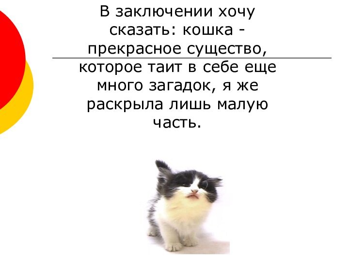 В заключении хочу сказать: кошка - прекрасное существо, которое таит в себе