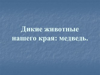 Дикие животные нашего края: медведь