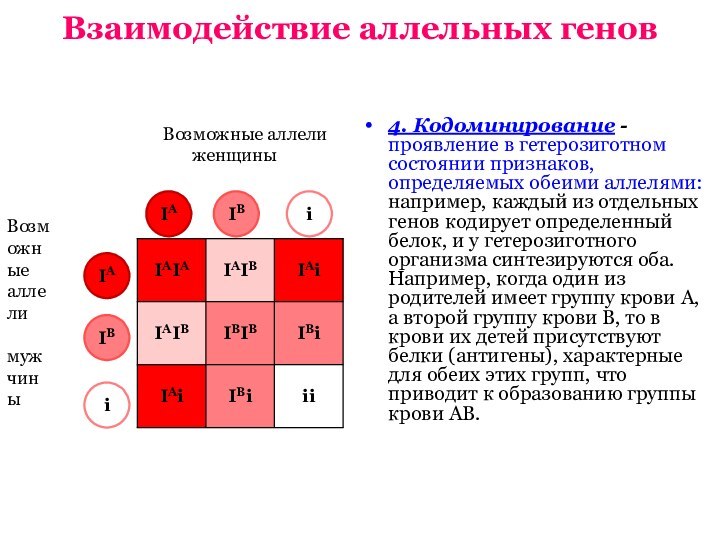 Взаимодействие аллельных генов4. Кодоминирование - проявление в гетерозиготном состоянии признаков, определяемых обеими